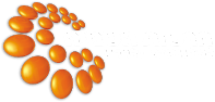 הרשות השנייה לטלויזיה ולרדיו - עמוד הבית 